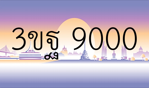 3ขฐ 9000